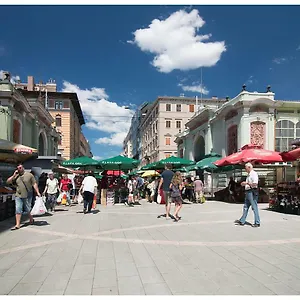 https://stylish-centre-apartment-theatre-view.primorje-gorskikotar.com